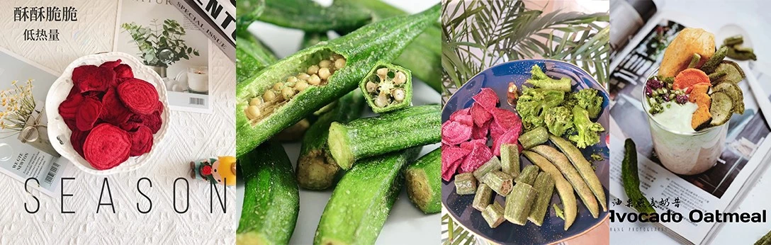 vacuum fried vegetable chips vacuum fried vegetable chips